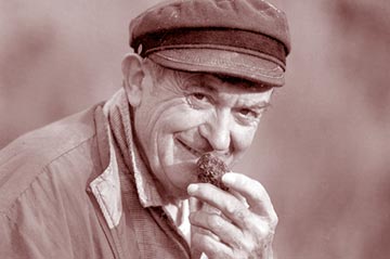 « faire un diagnostic complet » - 13.6 ko